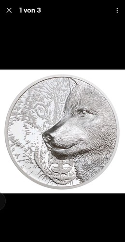 Silber münze 2021 proof - 2021,