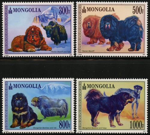 Mongolei mongolia 2015 tiere - mongolia,