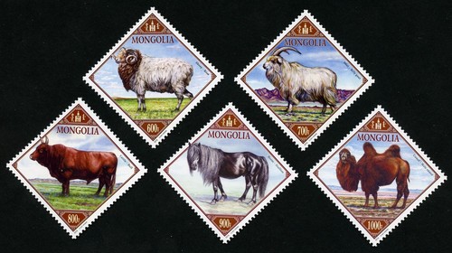Mongolei mongolia 2016 tiere - 2016,