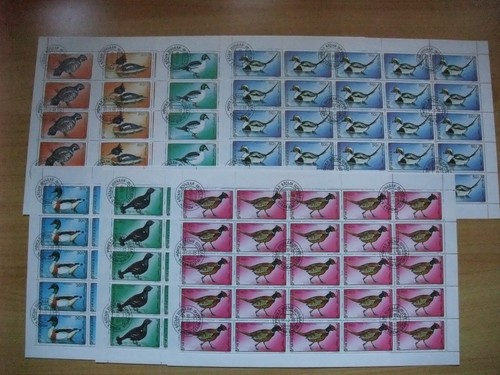 Bogen satz vögel mongolia - satz,
