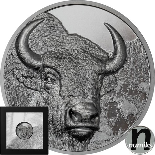 Bison wild mongolia 2025 - wild,