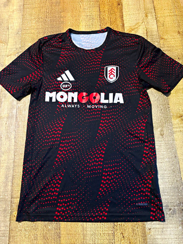 Fulham player issue 2024 - fulham, 2024/25